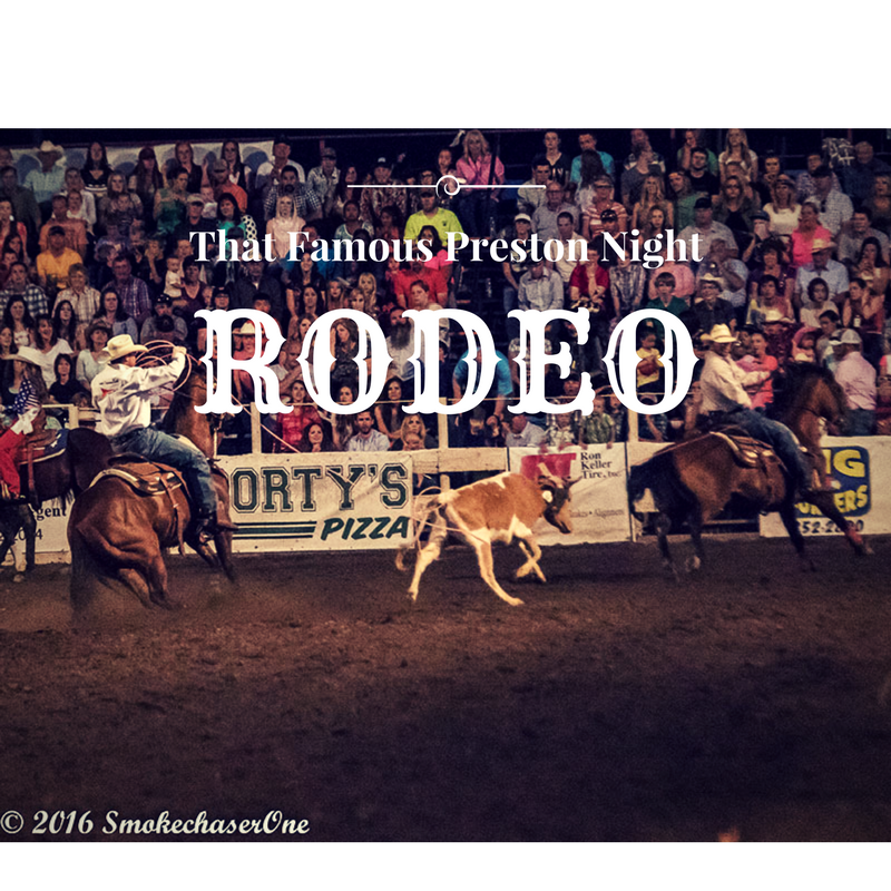 team roping at the preston rodeo